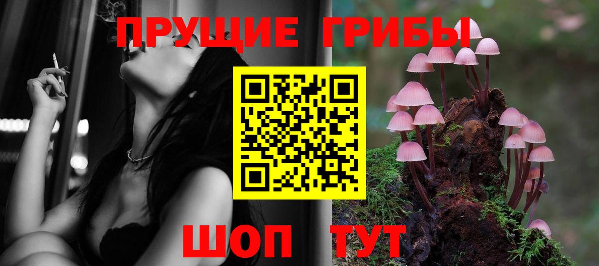 Галлюциногенные грибы прущие грибы  Галлюциногенные грибы мицелий  Вход с VPN  Вязьма 