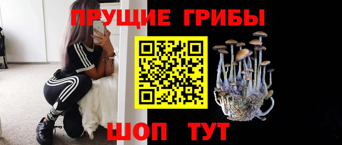 Галлюциногенные грибы прущие грибы Вязьма